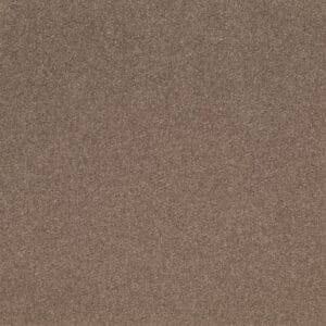 Tavistock Twist Rosewood 50oz carpet Available in 4m & 5m Widths