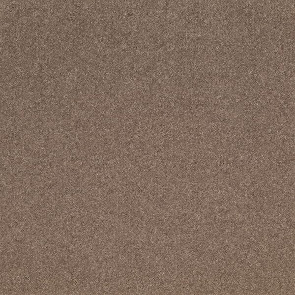 Tavistock Twist Rosewood 50oz carpet Available in 4m & 5m Widths