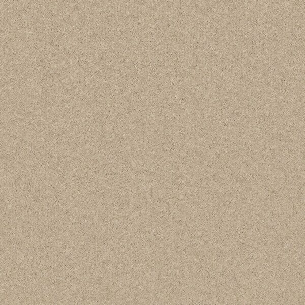 Tavistock Twist Savannah 50oz carpet Available in 4m & 5m Widths