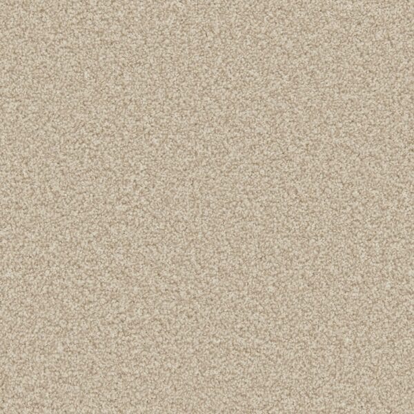 Clovelly Shortbread 100% Manmade easy clean carpets Available in 4m & 5m Widths