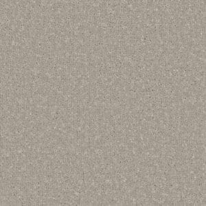 Clovelly Smokestack 100% Manmade easy clan carpet Available in 4m & 5m Widths