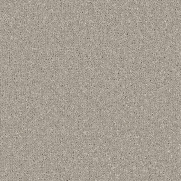 Clovelly Smokestack 100% Manmade easy clan carpet Available in 4m & 5m Widths