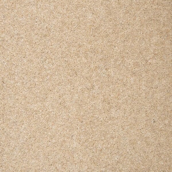Twineham Twist Stone 40oz carpet Available in 4m & 5m Widths