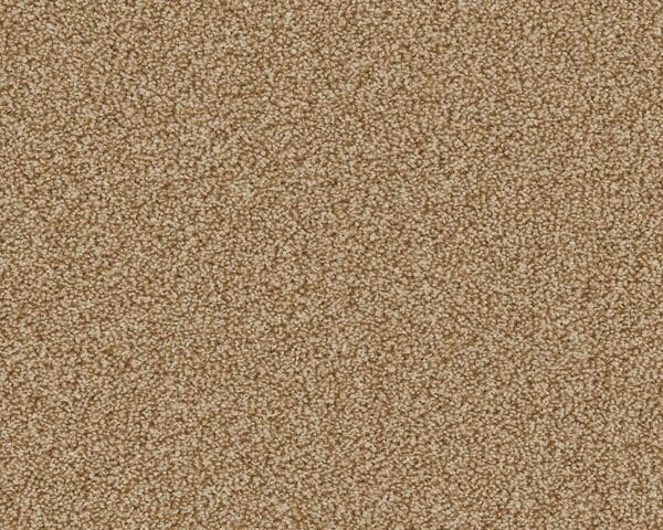 Woodstock Summer Meadow 100% Manmade carpet Available in 4m & 5m Widths