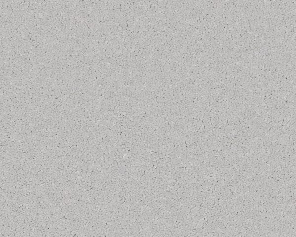 Woodstock Supernova 100% Manmade carpet Available in 4m & 5m Widths