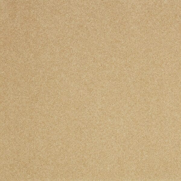 Tavistock Twist Wood Ash 50oz carpet Available in 4m & 5m Widths