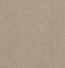 Superfine Twist 53oz Antique Lace carpet Available in 4m & 5m Widths