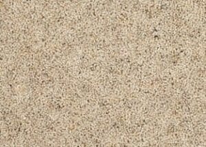 Kasbah Twist 44oz Bukhara beige carpet Available in 4m Widths