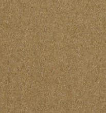 Superfine Twist 53oz Golden Haze carpet Available in 4m & 5m Widths